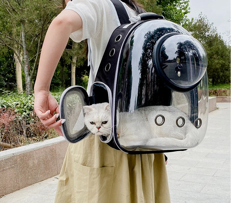 The PawPort Adventure Pack